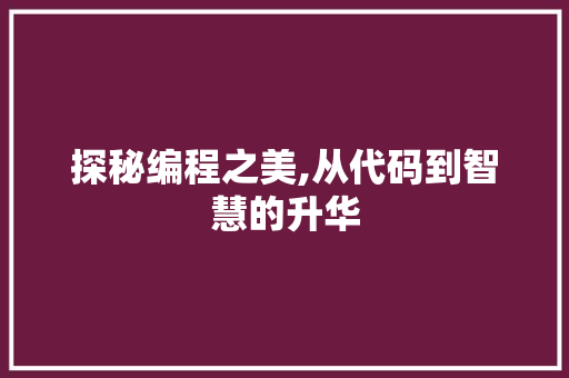 探秘编程之美,从代码到智慧的升华