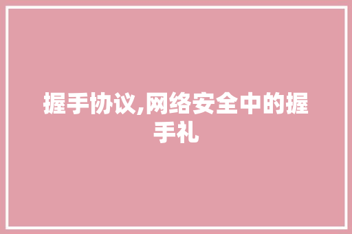 握手协议,网络安全中的握手礼 网站优化