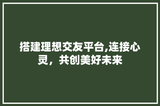搭建理想交友平台,连接心灵，共创美好未来