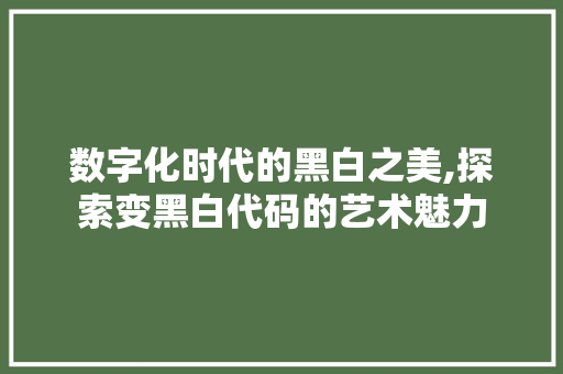 数字化时代的黑白之美,探索变黑白代码的艺术魅力