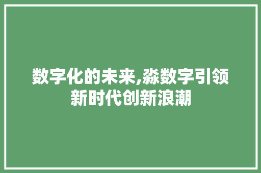 数字化的未来,淼数字引领新时代创新浪潮