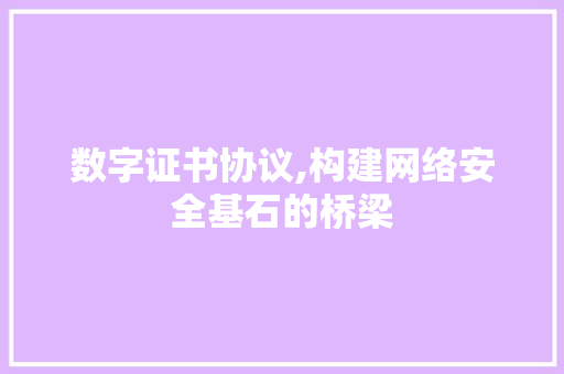数字证书协议,构建网络安全基石的桥梁