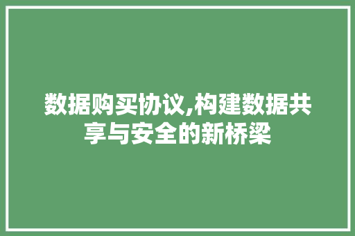 数据购买协议,构建数据共享与安全的新桥梁