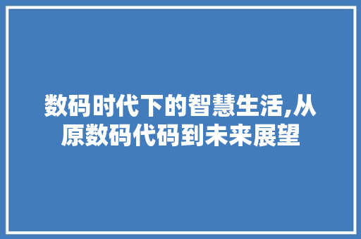 数码时代下的智慧生活,从原数码代码到未来展望