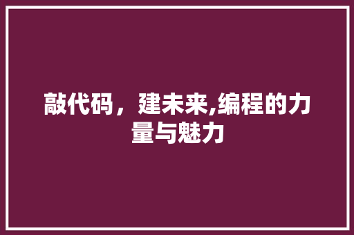 敲代码，建未来,编程的力量与魅力