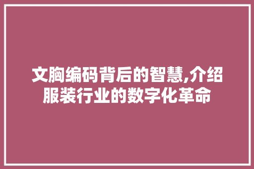 文胸编码背后的智慧,介绍服装行业的数字化革命
