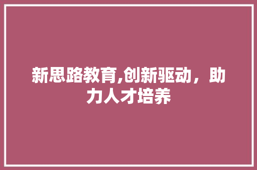新思路教育,创新驱动，助力人才培养