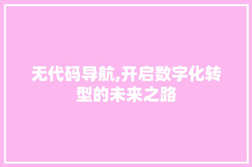 无代码导航,开启数字化转型的未来之路 英文谷歌算法