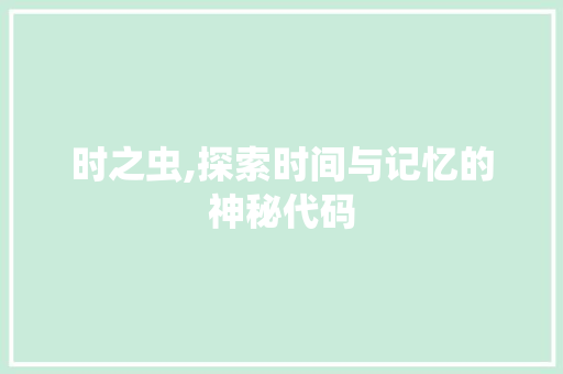 时之虫,探索时间与记忆的神秘代码
