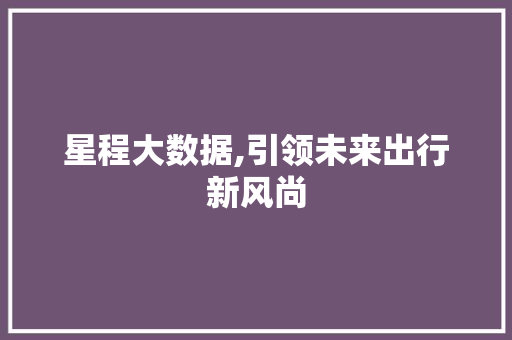 星程大数据,引领未来出行新风尚