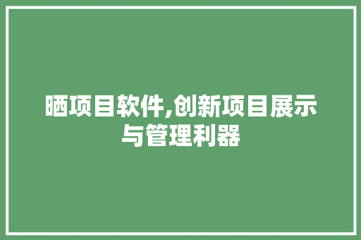 晒项目软件,创新项目展示与管理利器