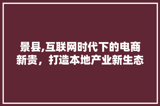 景县,互联网时代下的电商新贵，打造本地产业新生态