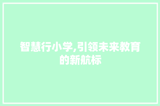 智慧行小学,引领未来教育的新航标