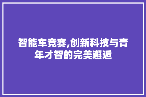 智能车竞赛,创新科技与青年才智的完美邂逅