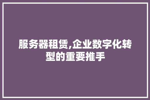 服务器租赁,企业数字化转型的重要推手