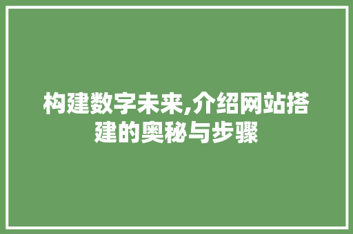 构建数字未来,介绍网站搭建的奥秘与步骤