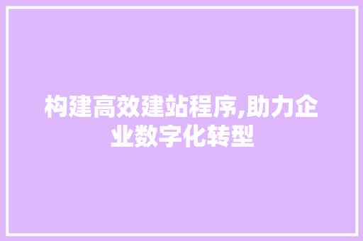 构建高效建站程序,助力企业数字化转型
