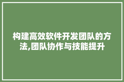 构建高效软件开发团队的方法,团队协作与技能提升