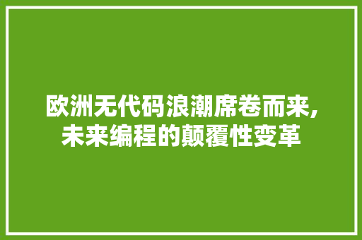 欧洲无代码浪潮席卷而来,未来编程的颠覆性变革