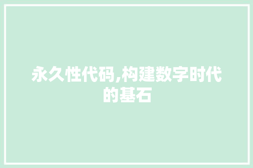 永久性代码,构建数字时代的基石