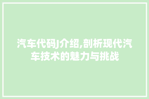 汽车代码J介绍,剖析现代汽车技术的魅力与挑战
