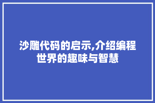 沙雕代码的启示,介绍编程世界的趣味与智慧