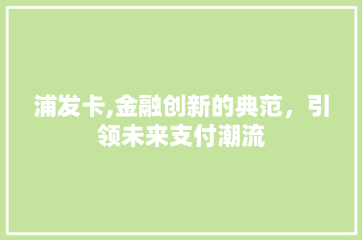 浦发卡,金融创新的典范，引领未来支付潮流 百度算法