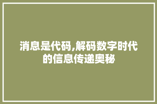 消息是代码,解码数字时代的信息传递奥秘