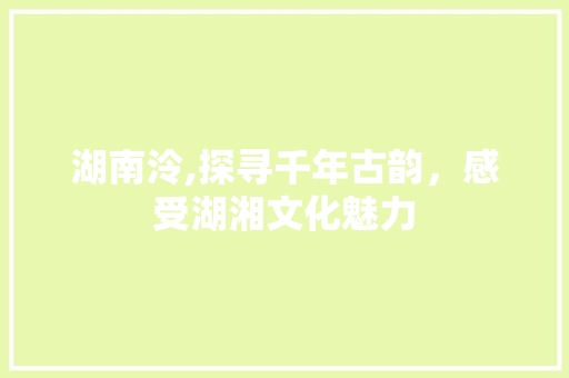 湖南泠,探寻千年古韵，感受湖湘文化魅力