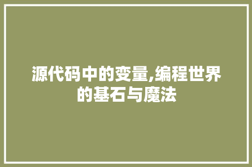 源代码中的变量,编程世界的基石与魔法 网站优化
