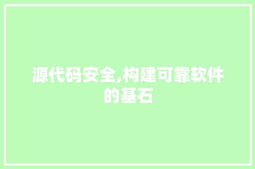 源代码安全,构建可靠软件的基石