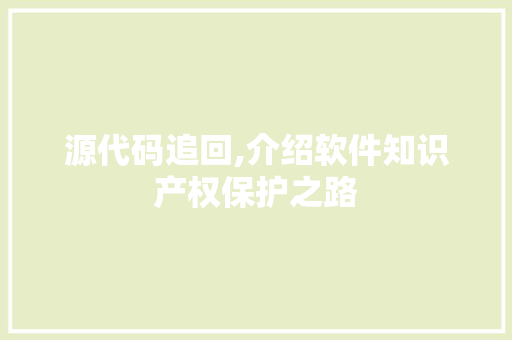 源代码追回,介绍软件知识产权保护之路