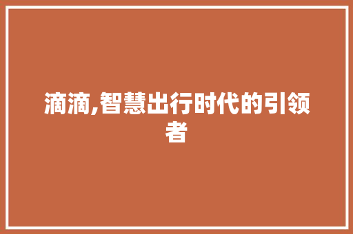 滴滴,智慧出行时代的引领者