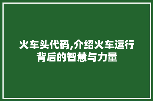 火车头代码,介绍火车运行背后的智慧与力量 英文谷歌算法