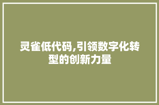 灵雀低代码,引领数字化转型的创新力量
