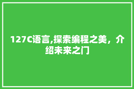 127C语言,探索编程之美，介绍未来之门