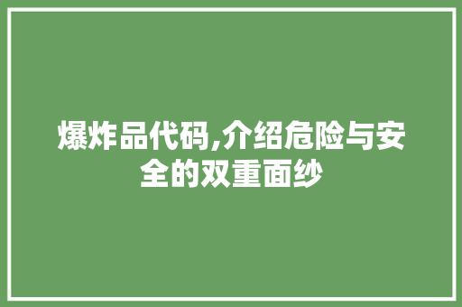 爆炸品代码,介绍危险与安全的双重面纱