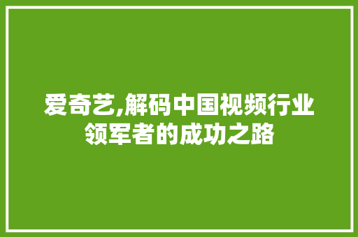 爱奇艺,解码中国视频行业领军者的成功之路