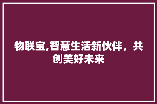 物联宝,智慧生活新伙伴，共创美好未来