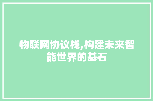 物联网协议栈,构建未来智能世界的基石