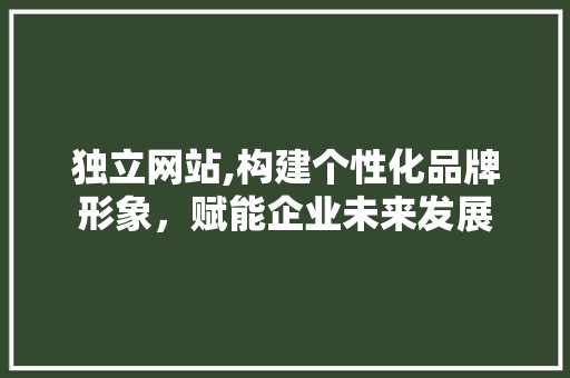 独立网站,构建个性化品牌形象，赋能企业未来发展