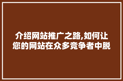 介绍网站推广之路,如何让您的网站在众多竞争者中脱颖而出