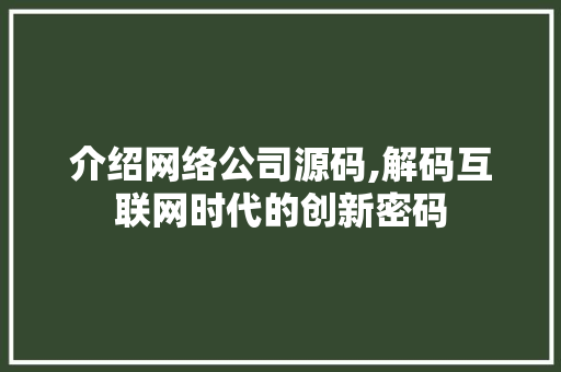 介绍网络公司源码,解码互联网时代的创新密码 百度算法