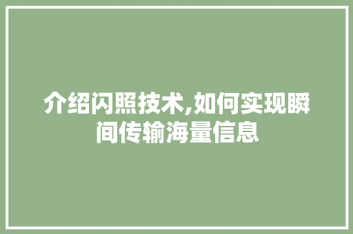 介绍闪照技术,如何实现瞬间传输海量信息 AI技术学习