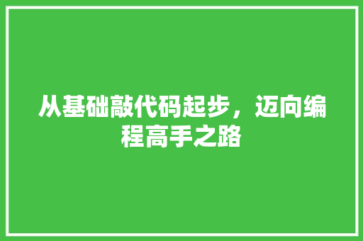 从基础敲代码起步，迈向编程高手之路