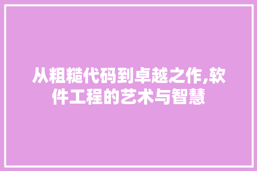 从粗糙代码到卓越之作,软件工程的艺术与智慧 小程序开发
