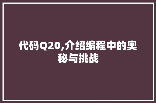 代码Q20,介绍编程中的奥秘与挑战