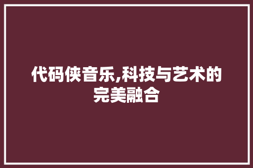 代码侠音乐,科技与艺术的完美融合