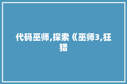 代码巫师,探索《巫师3,狂猎