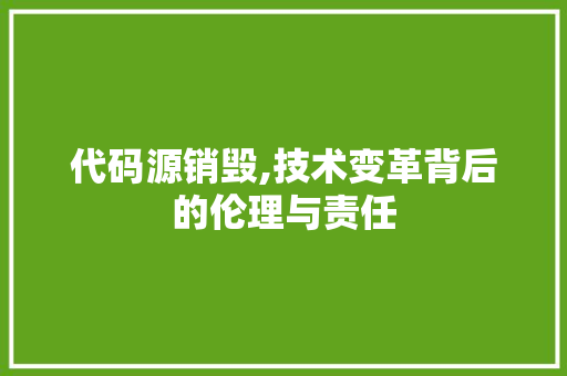 代码源销毁,技术变革背后的伦理与责任 360搜优化